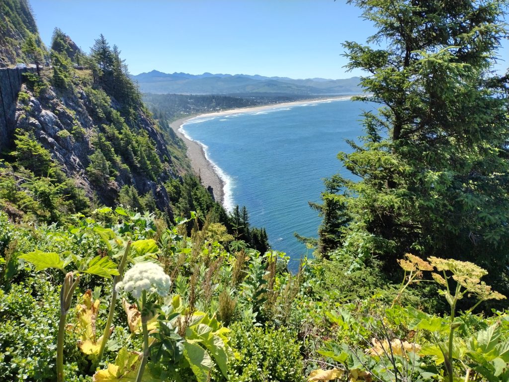 Coaching img 20230714 111716493